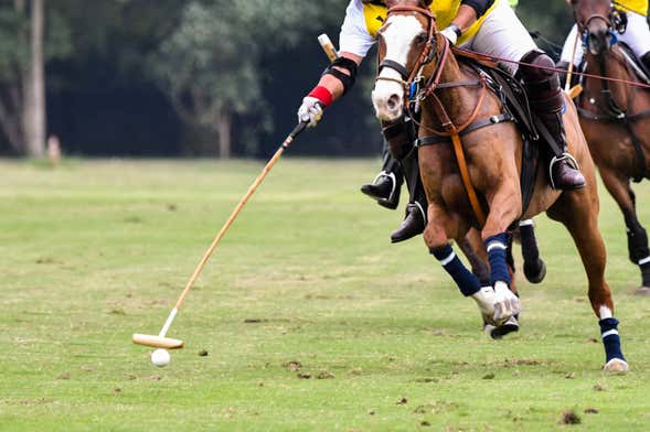 Partida de polo em Buenos Aires com guia local