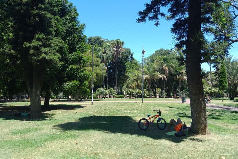 Uma pessoa descansando ao lado de sua bicicleta no parque