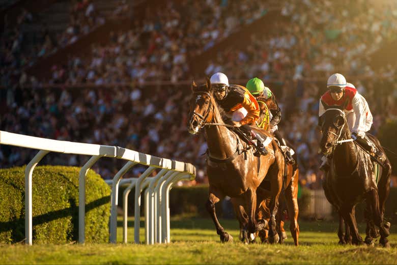 Assistiremos a uma corrida de cavalos no Hipódromo de Palermo