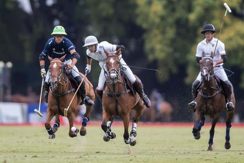 Presenciaremos uma partida de polo do Abierto de Palermo