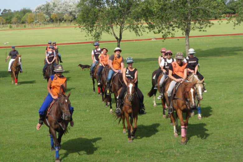 Preparados para jogar polo